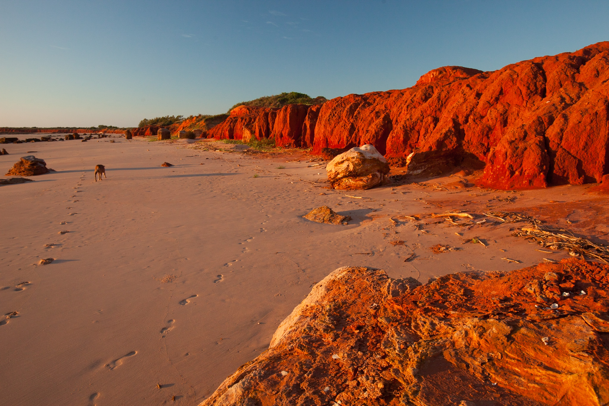 Beach with red earth cliffs